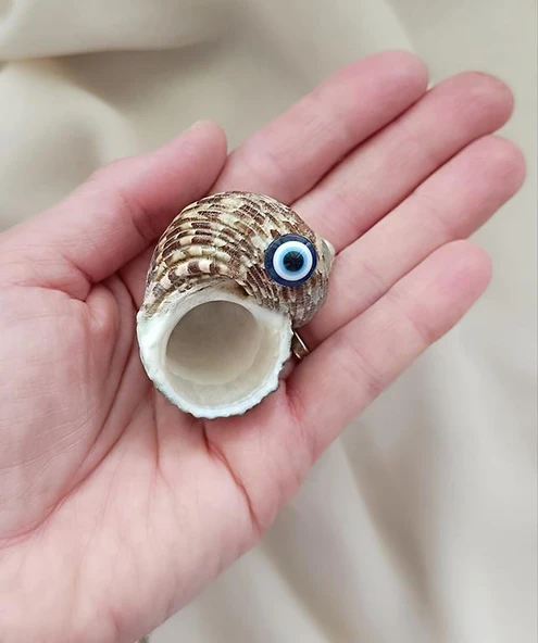 Magnet Doğal Deniz Kabuğu Nazar Boncuklu Mıknatıslı Buzdolabı Süsü - 2