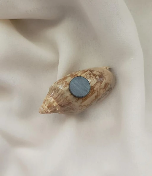 Magnet Doğal Deniz Kabuğu Nazar Boncuklu Mıknatıslı Buzdolabı Süsü - 2