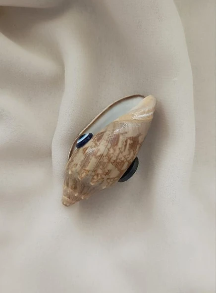 Magnet Doğal Deniz Kabuğu Nazar Boncuklu Mıknatıslı Buzdolabı Süsü - 3