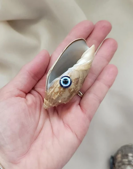 Magnet Doğal Deniz Kabuğu Nazar Boncuklu Mıknatıslı Buzdolabı Süsü