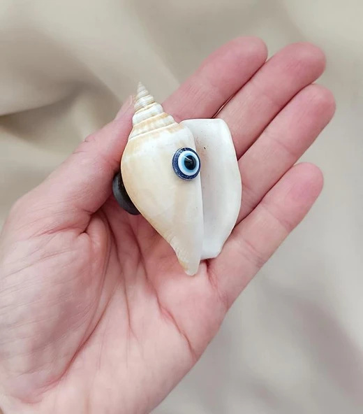 Magnet Doğal Deniz Kabuğu Nazar Boncuklu Mıknatıslı Buzdolabı Süsü - 2