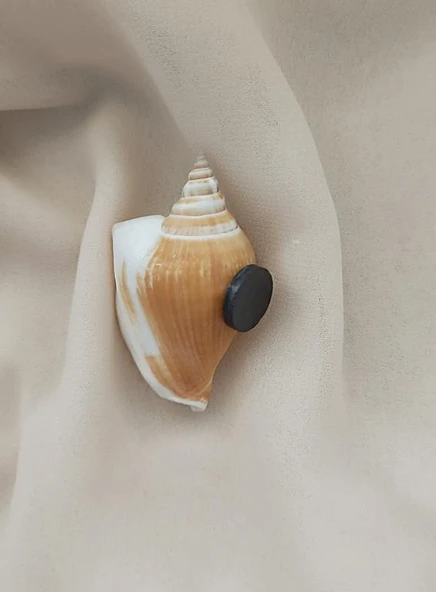 Magnet Doğal Deniz Kabuğu Nazar Boncuklu Mıknatıslı Buzdolabı Süsü - 3