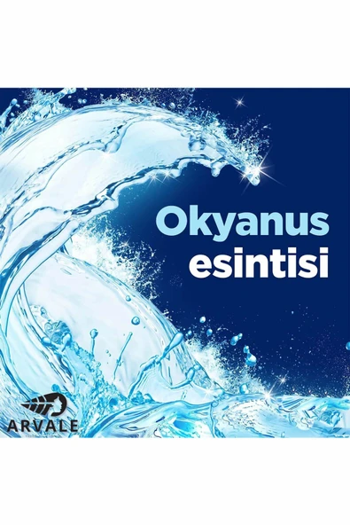 ARVALE Okyanus Esintisi WC Bloğu - 1 Adet 50 gram - Resim 3