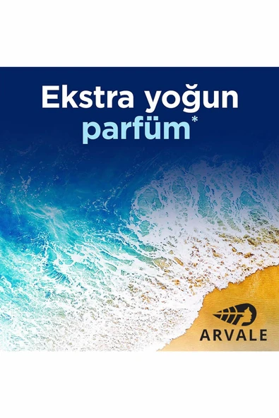 ARVALE Okyanus Esintisi WC Bloğu - 1 Adet 50 gram - Resim 6