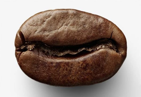 Byr3D Kahve Çekirdeği Kurabiye Kesici T3890260 Sadece Plastik Aparattır - 3