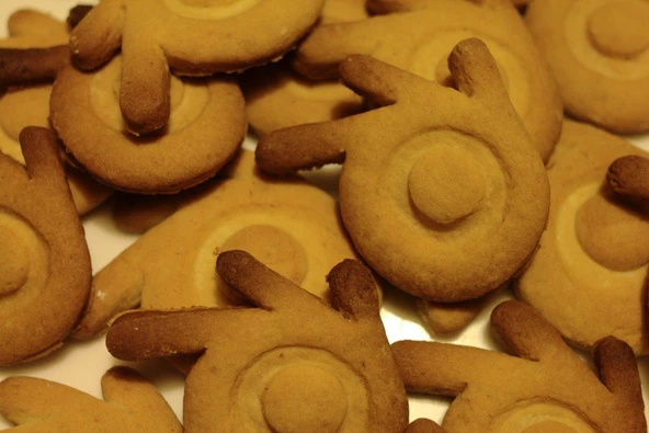 Byr3D Blender Çerez Kesici T1113328 Sadece Plastik Aparattır