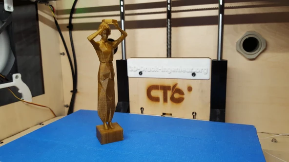 Byr3D "Altın Kadın" T1151507 Sadece Plastik Aparattır