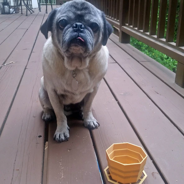 Byr3D Yerinde Baskı Katlanabilir Su Kasesi T2441950 Sadece Plastik Aparattır