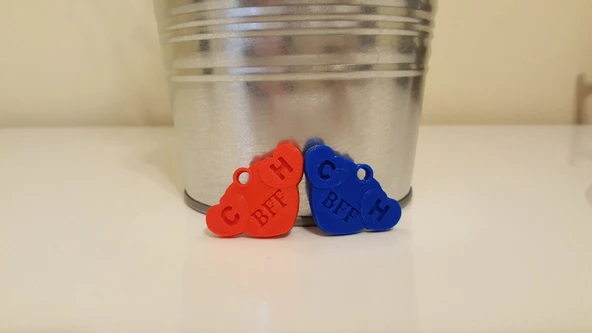 Byr3D Sevgililer Günü Kalpli Kolye T2789396 Sadece Plastik Aparattır