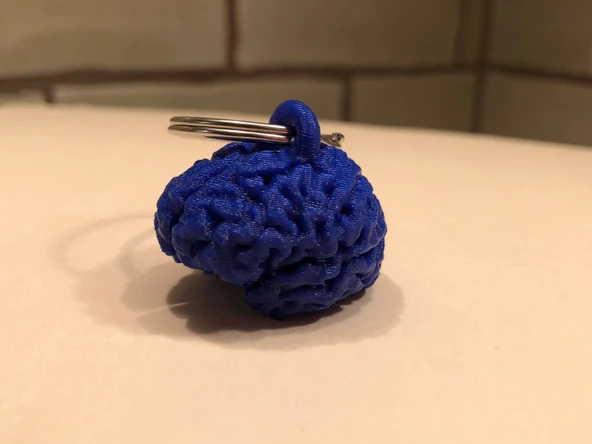 Byr3D Anahtarlık Için Beyin Yüzeyi T3345189 Sadece Plastik Aparattır