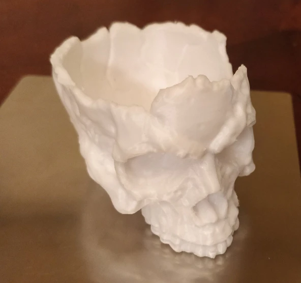 Byr3D Kafatası Kasesi T6279902 Sadece Plastik Aparattır - 2