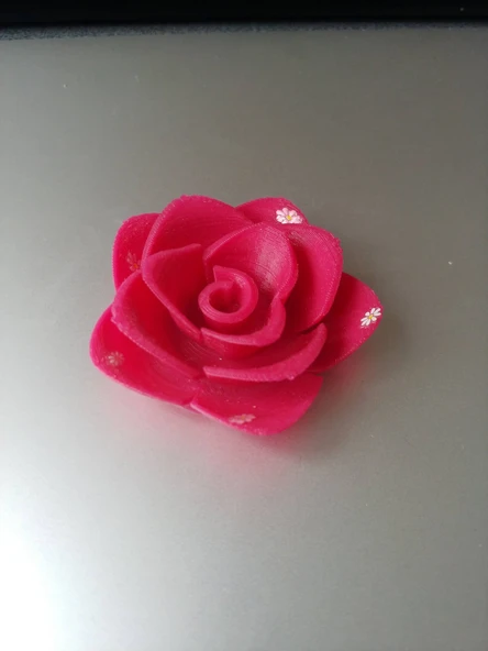 Byr3D Çiçek 1.0 T1090657 Sadece Plastik Aparattır - 2