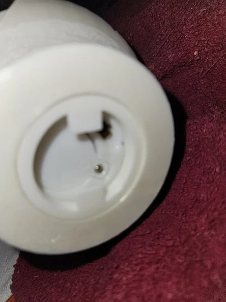 Byr3D Led Çay Işığını Tutmak Için Takın T5721491 Sadece Plastik Aparattır