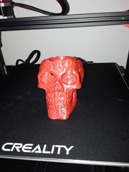 Byr3D Daha Derin Delikli Celtic Kafatası T4744741 Sadece Plastik Aparattır - 3