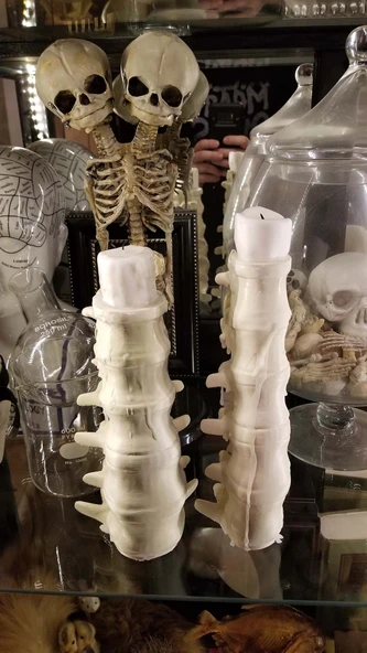 Byr3D Omurga Kolonu Çay Işık Tutacağı T3346792 Sadece Plastik Aparattır