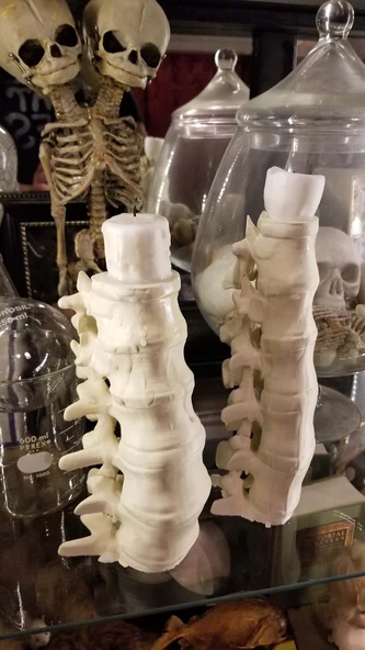 Byr3D Omurga Kolonu Çay Işık Tutacağı T3346792 Sadece Plastik Aparattır - 2