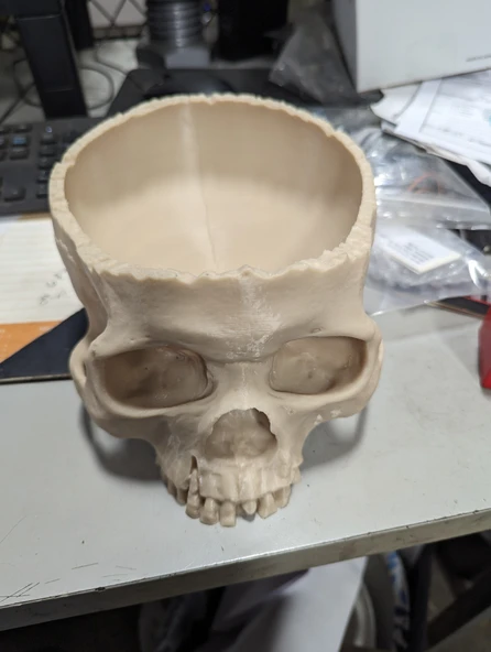 Byr3D Kafatası Kasesi T6181744 Sadece Plastik Aparattır - 2