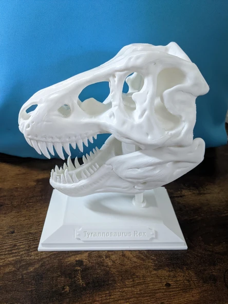 Byr3D T-Rex Kafatası Biblo Beyaz 308335 Sadece Plastik Aparattır - 3