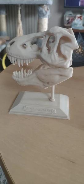 Byr3D T-Rex Kafatası Biblo Beyaz 308335 Sadece Plastik Aparattır - 2