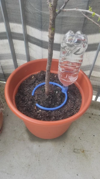 Byr3D Saksı Sulama, Bitki Sulama Aparatı Mavi 6491638 Sadece Plastik Aparattır - Resim 2