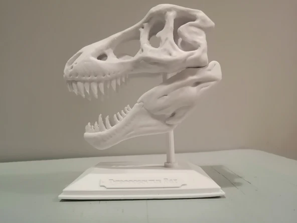 Byr3D T-Rex Kafatası Biblo Beyaz 308335 Sadece Plastik Aparattır