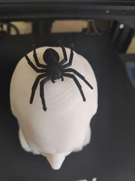 Byr3D Kara Ev Örümceği Siyah 3147004 (5 Adet) Sadece Plastik Aparattır - 3