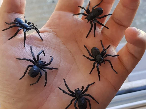Byr3D Kara Ev Örümceği Siyah 3147004 (5 Adet) Sadece Plastik Aparattır