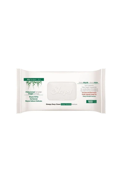 Easy Clean Yüzey Temizlik Havlusu 100' Lü - 3