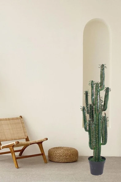 Yapay Çiçek Kaktüs Ağacı Siyah Saksıda 145*37cm 10 Kollu - 6