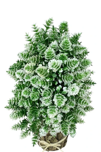 Yapay Çiçek Bonsai Ağacı Beyaz Kozalaklı Kütük Saksıda Dekoratif Yapay Ağaç Bonzai 30*15 CM - 4