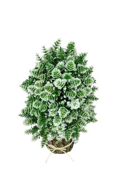Yapay Çiçek Bonsai Ağacı Beyaz Kozalaklı Kütük Saksıda Dekoratif Yapay Ağaç Bonzai 30*15 CM - 2