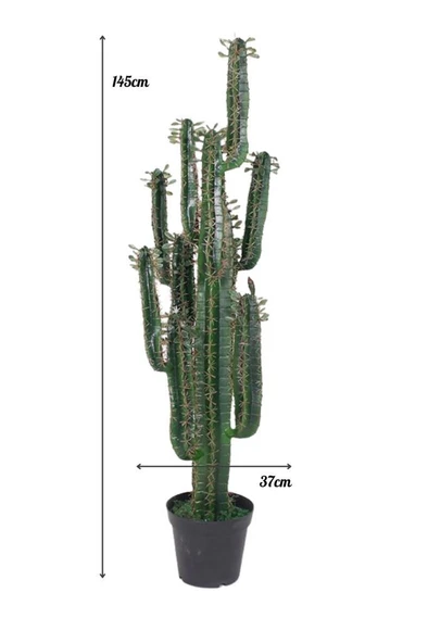 Yapay Çiçek Kaktüs Ağacı Siyah Saksıda 145*37cm 10 Kollu - 2