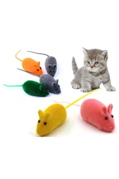 4 Adet Kedi Eğitim Oyun Faresi Sesli - 2