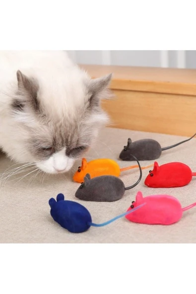 4 Adet Kedi Eğitim Oyun Faresi Sesli
