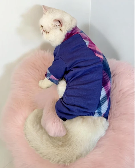 Monogram Purp Polar Kedi Tulum Pijama - Resim 7