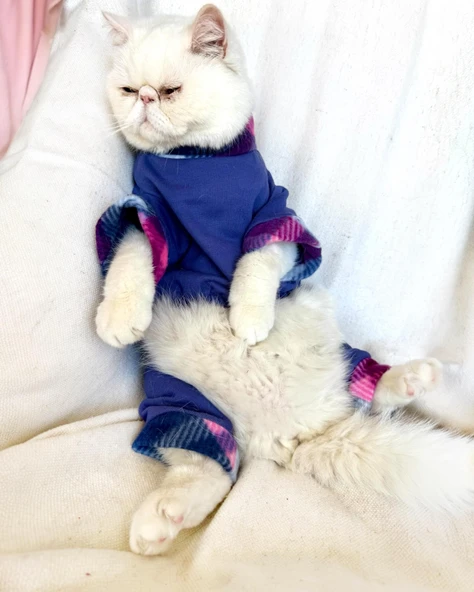 Monogram Purp Polar Kedi Tulum Pijama ürün görseli 1