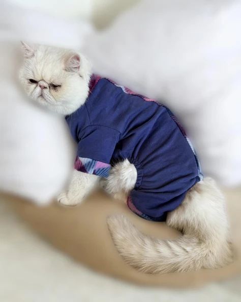 Monogram Purp Polar Kedi Tulum Pijama - Resim 8