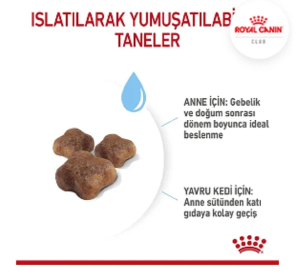 Royal Canin Mother And Babycat 2 kg - 4