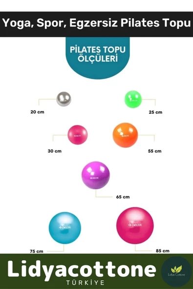 Mini Gymball 20cm Mavi Pilates Denge Egzersiz Topu Profesyonel Seri Şişirme Pompa - 2