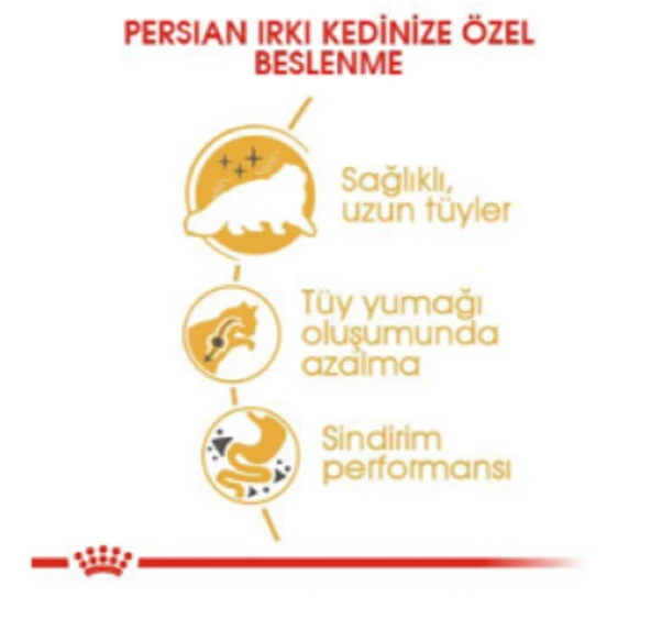 Royal Canin Persian İran Kedileri İçin Yetişkin Kuru Kedi Maması 2 kg - 3
