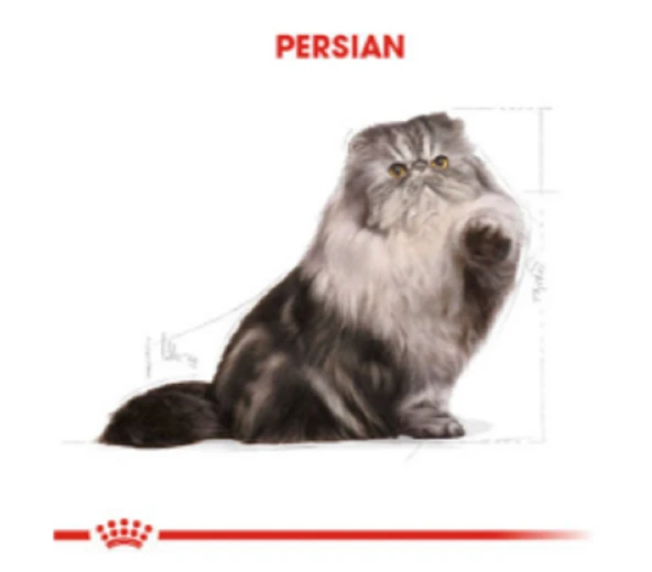 Royal Canin Persian İran Kedileri İçin Yetişkin Kuru Kedi Maması 2 kg - 6