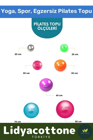 Mini Gymball 20cm Mavi Pilates Denge Egzersiz Topu Profesyonel Seri Şişirme Pompa - 2