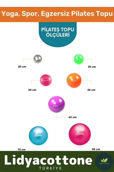 Mini Gymball 20cm Turuncu Pilates Topu Denge Egzersiz Şişirme Pompa Hediyeli - 2