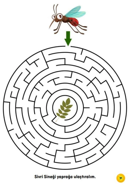 3-9 YAŞ Çocuklar İçin Çiz-YAZ Labirent Bulmaca Seti - Resim 5