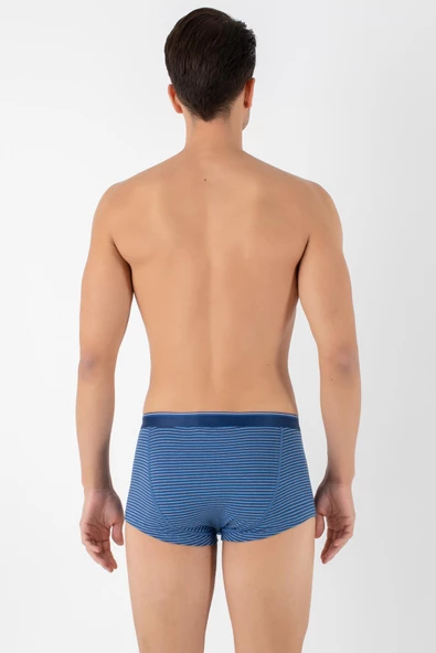 DoReMi Dennis Cotton Erkek Boxer - 5