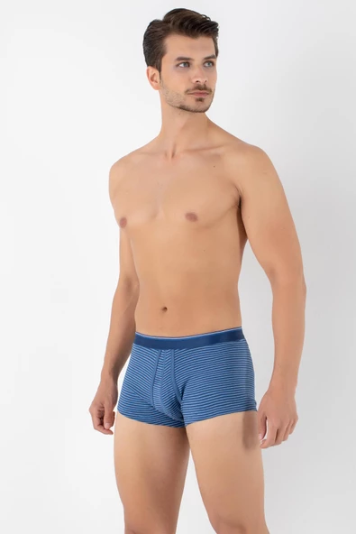 DoReMi Dennis Cotton Erkek Boxer - 2