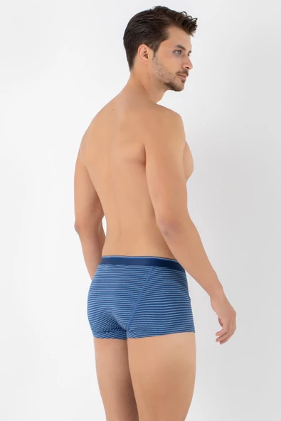 DoReMi Dennis Cotton Erkek Boxer - 4