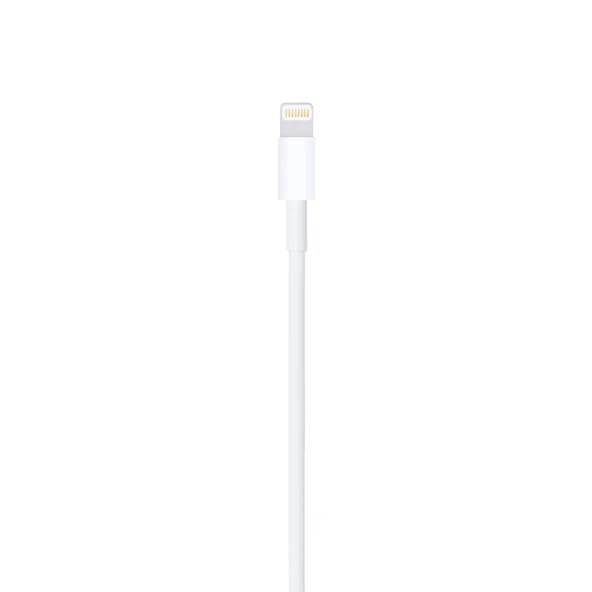 Apple Lightning USB Kablo 0.5mt ME291ZM/A - Resim 4