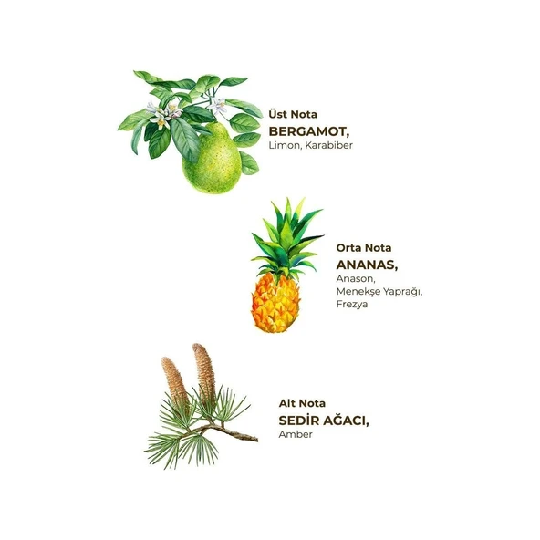 Okyanus Kolonyası 1 Lt - Koruma Kilitli Kapak - Resim 2