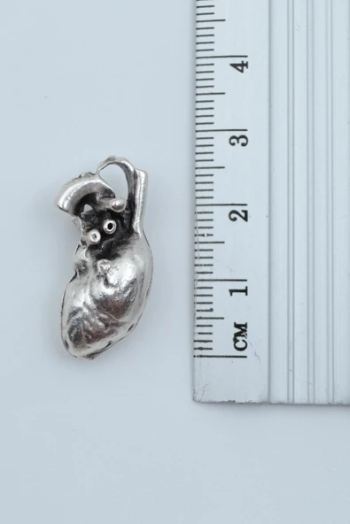 Kalp Gümüş Kaplama Düz Zincir Kolye - Resim 3